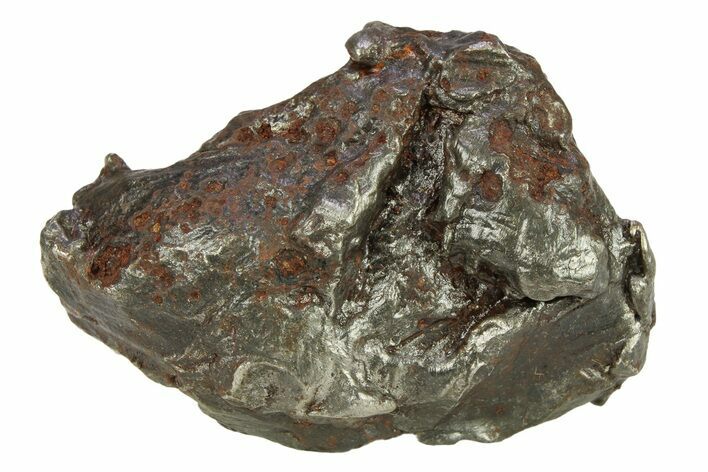 Sikhote-Alin Iron Meteorite Shrapnel ( g) - Russia #287741